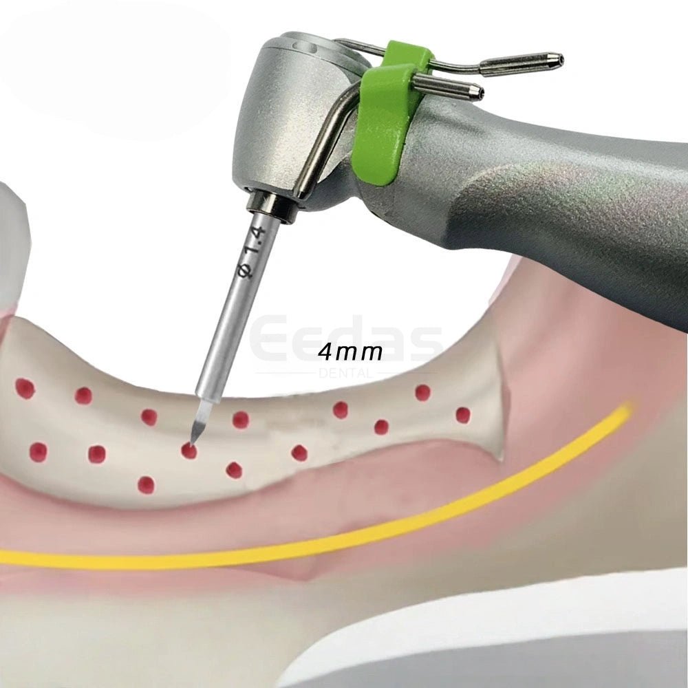 Cortical Perforation Bur for Bone Grafting - EEDAS Dental